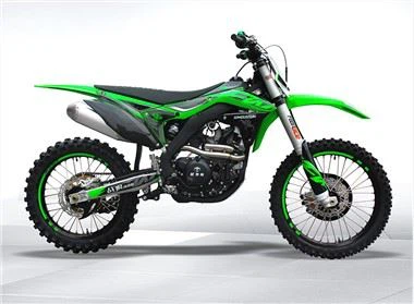 Gas Powered Dirt Kes Bifor Adults